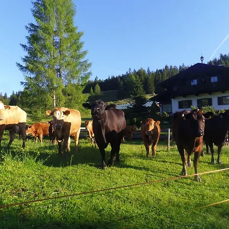 Almidylle Kathrin Vakantiehuis *